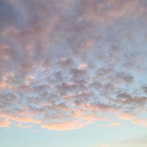 Meet your Posher, Clare